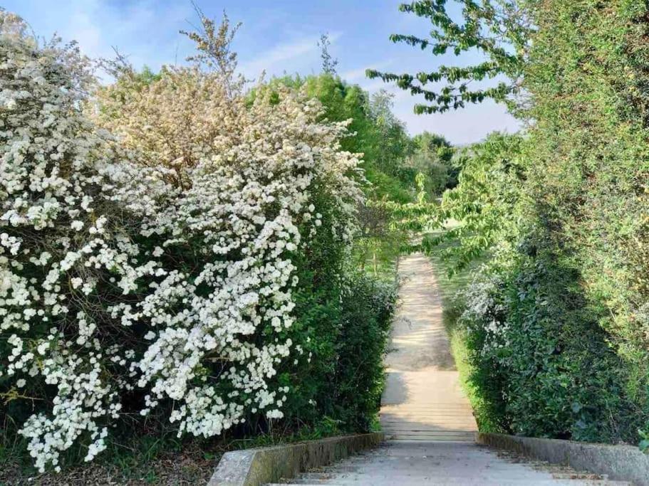 Le Domaine Reserve , Parking Et Ecrin De Verdure Amiens Buitenkant foto